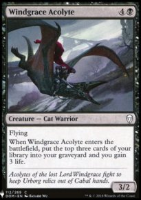 Windgrace Acolyte - 