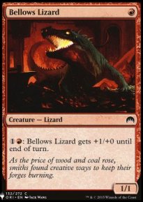 Bellows Lizard - 