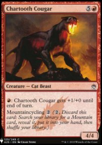 Chartooth Cougar - 