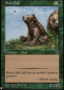 Bear Cub - 