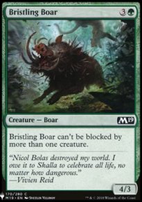Bristling Boar - 