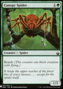 Canopy Spider - 