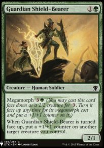 Guardian Shield-Bearer - 