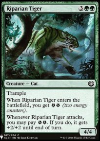 Riparian Tiger - 