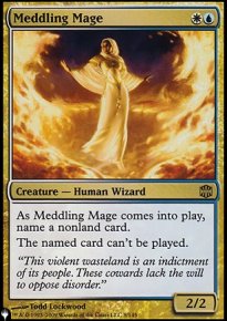 Meddling Mage - 