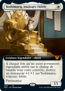 Yoshimaru, toujours fidle - 