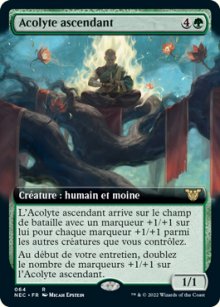 Acolyte ascendant - 