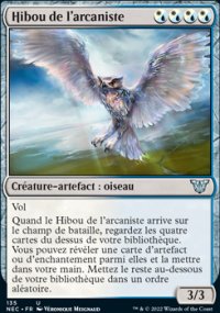 Hibou de l'arcaniste - 