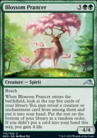 Blossom Prancer - 