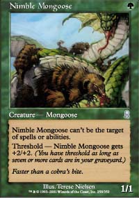 Nimble Mongoose - 