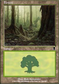 Forest - 