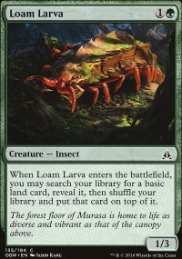 Loam Larva - 
