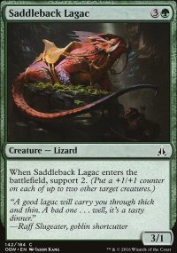 Saddleback Lagac - 