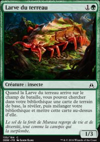 Larve du terreau - 