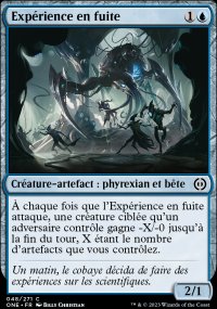 Exprience en fuite - 