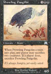 Pangolin rôdeur - 