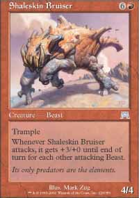 Shaleskin Bruiser - 