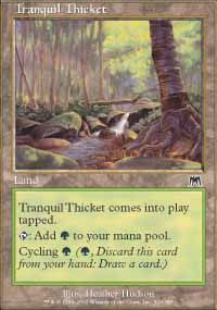 Tranquil Thicket - 