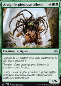 Araigne pigeuse cleste - 