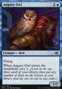 Augury Owl - 