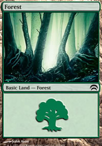 Forest - 