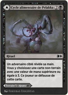 Cycle alimentaire de Pelakka<br>Cavernes de Pelakka