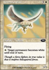 Griffon de l'aurore - 