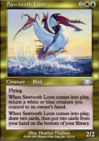 Sawtooth Loon - 