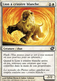 Lion  crinire blanche - 