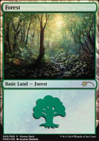 Forest - 