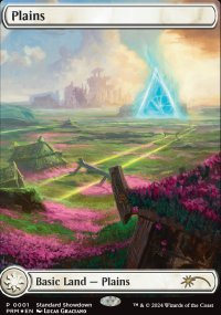 Plains - Misc. Promos