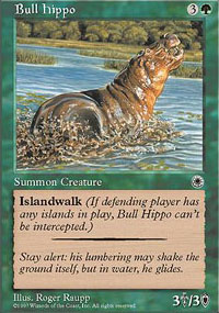 Hippopotame mle - 