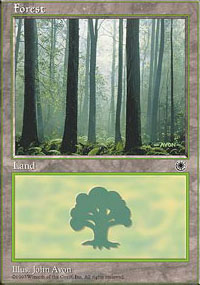 Forest - 