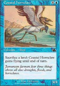 Coastal Hornclaw - 