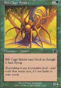 Rib Cage Spider - 
