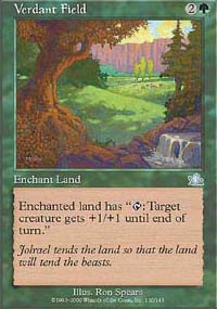 Champ verdoyant - Prophecy