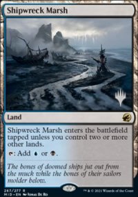 Shipwreck Marsh - 