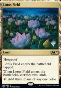 Lotus Field - 