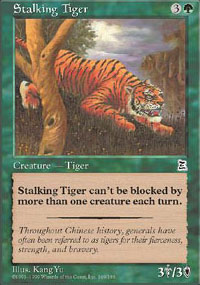 Stalking Tiger - 
