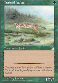 Trained Jackal - 