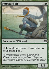 Nomadic Elf - 