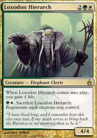 Hirarche loxodon - 