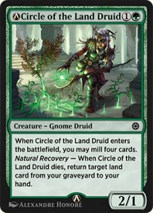 A-Circle of the Land Druid - 