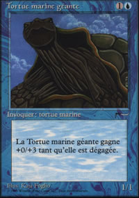 Tortue marine géante - 