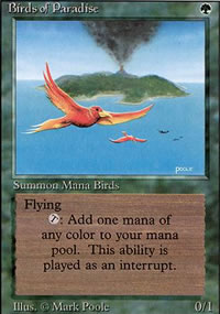Oiseaux de paradis - Revised Edition
