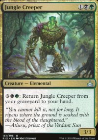 Jungle Creeper - 