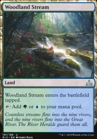 Woodland Stream - 