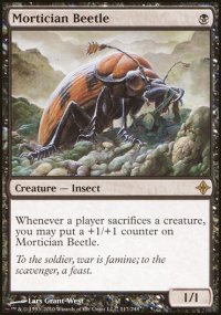 Mortician Beetle - 