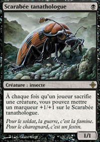 Scarabe tanathologue - 