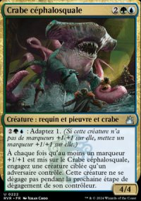 Crabe cphalosquale - 